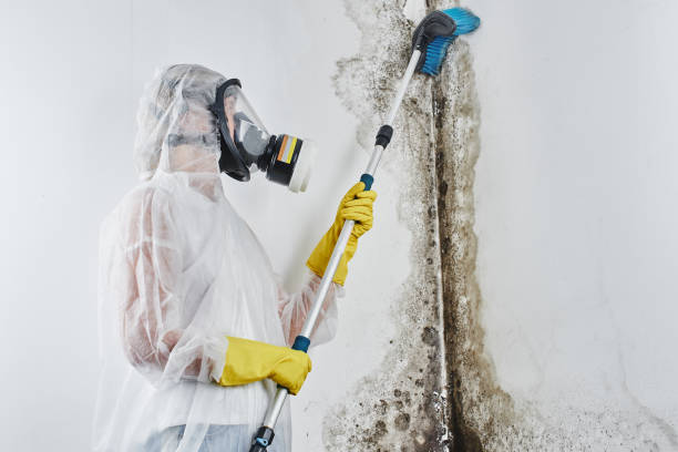 Water Damage Restoration in Captain Cook, HI