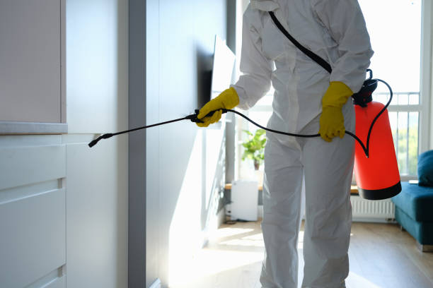 Best Mold Removal Near Me  in Captain Cook, HI